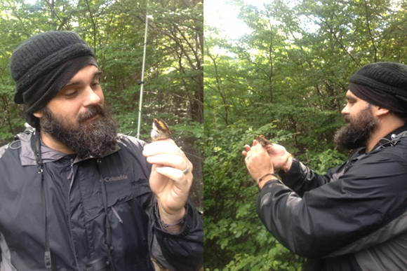 Justin meeting a thorn-tailed Rayadito (Aphrastura spinicauda) in Omora