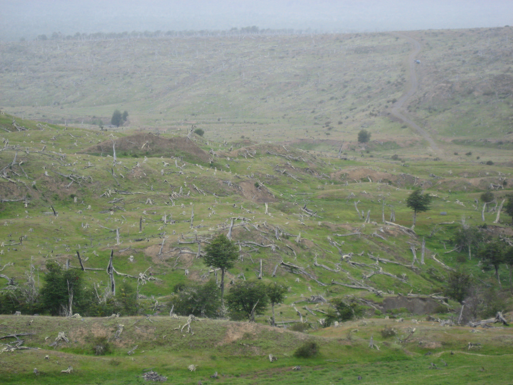 Abandoned Fields