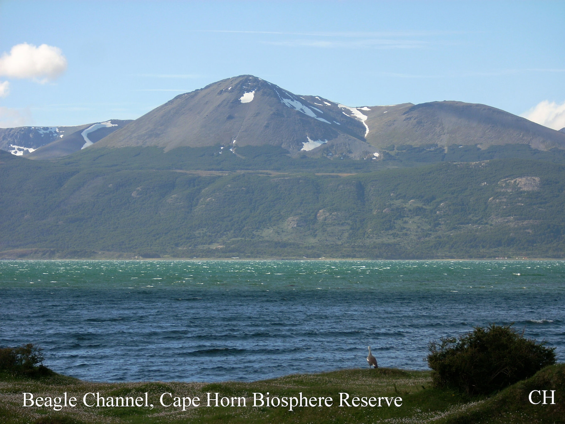 Beagle Channel at Cape Horn Biosphere Reserve