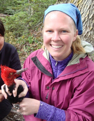 Amy Wynia holding a male Magellanic Woodpecker on Navarino Island, Chile, February 2015. Photo by Natalia Jordan Amy Wynia holding a male Magellanic Woodpecker on Navarino Island, Chile, February 2015. Photo by Natalia Jordan