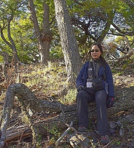 Figure 1. Shu Yu recording at the Omora Park, Navarino Island. Photo by J. Jiménez